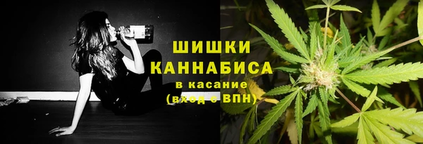 ГАЛЛЮЦИНОГЕННЫЕ ГРИБЫ Алзамай