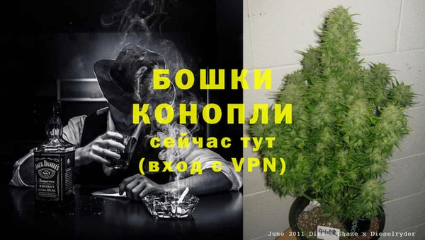 гидра Алексеевка