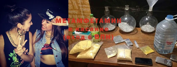 гидра Алексеевка