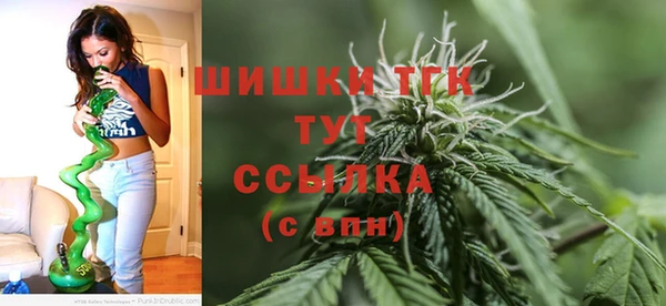 винт Арсеньев