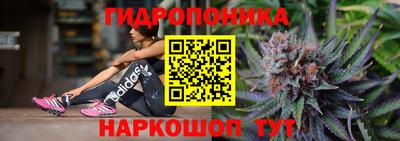 mdpv Ачхой-Мартан
