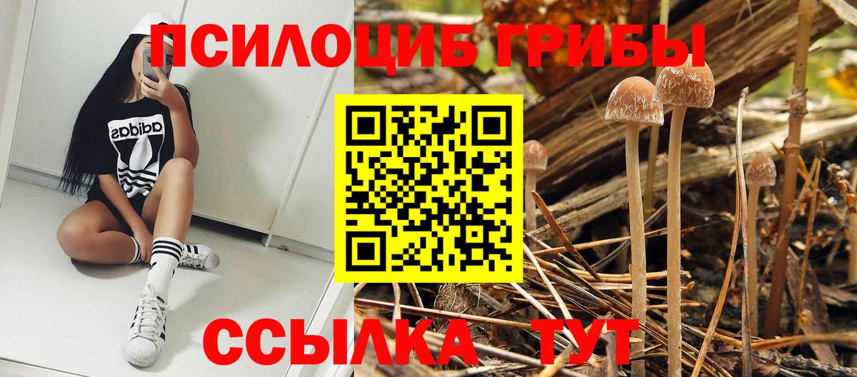 Конопля Ахтубинск