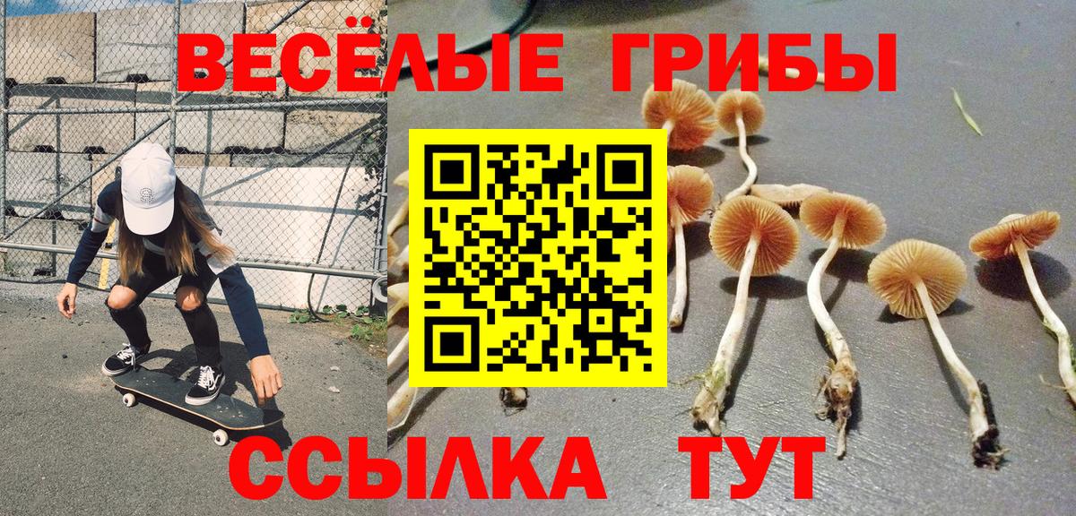 Псилоцибиновые грибы Magic Shrooms  Вход с VPN  Псилоцибиновые грибы Psilocybe  Ахтубинск 